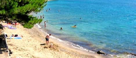 Nära stranden