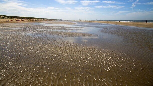 Une plage avec du sable mouillé et des personnes visibles au loin.