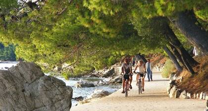 Huoneistot ja huoneet Frane, (13906), Palit, saaren Rab, Kroatia