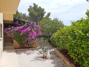 Terrain de l’hébergement 