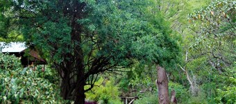 Fountain Baths Guest Cottages (Unité 1)