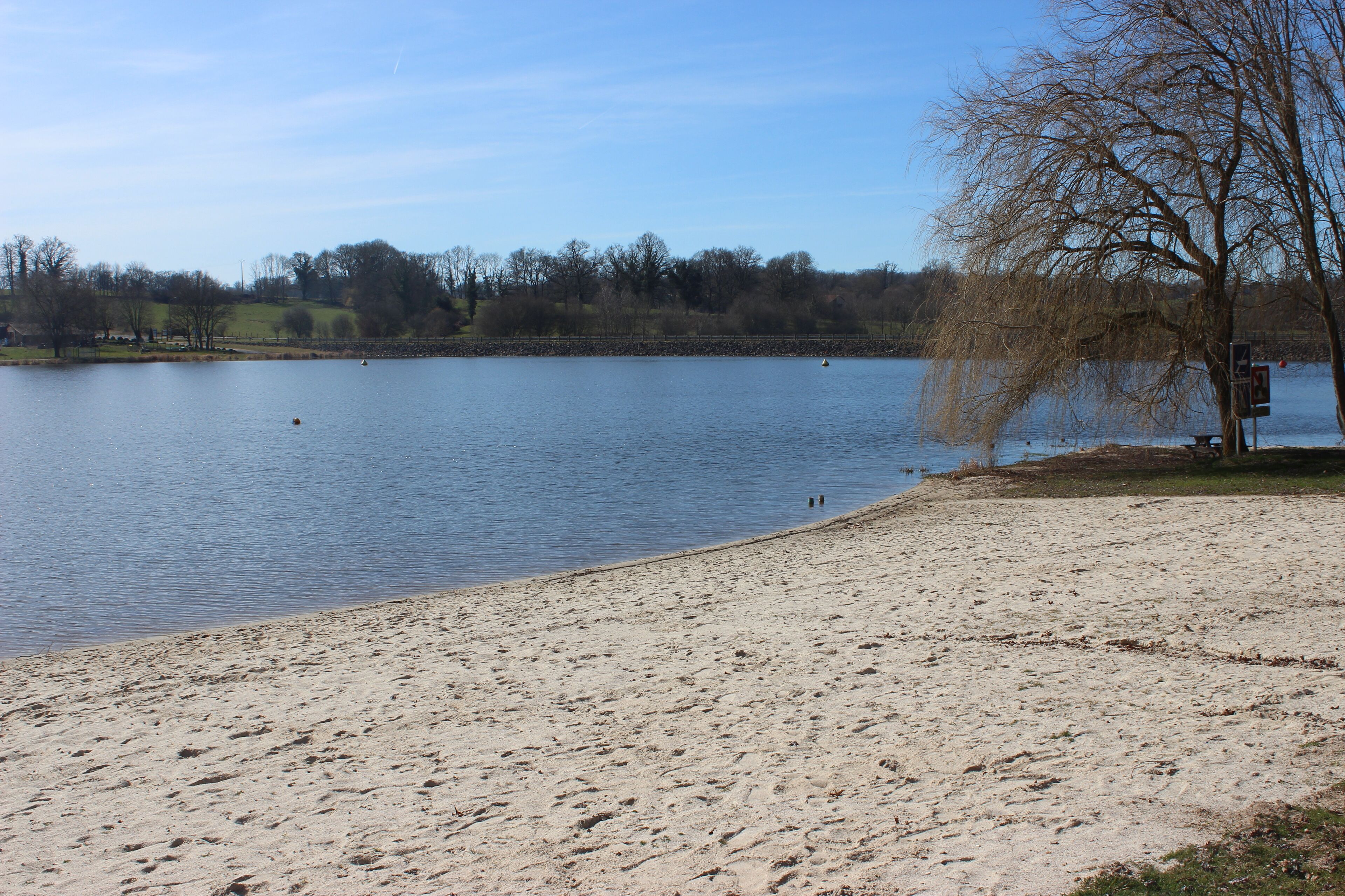 Serviettes de plage