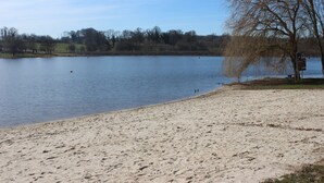 A sandy beach with a calm lake, a leafless tree, and a distant shoreline.