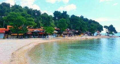 Ferienwohnungen Ivan, (14196), Biograd, hr