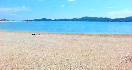 Apartments Ivan, (14196), Biograd, hr