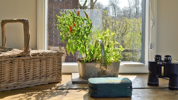 A wicker basket, a potted plant with green leaves and red peppers, a metal pot, a blue bag, and binoculars on a wooden table by a window.