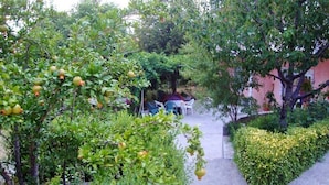 Unclassified image, 3 of 17, button