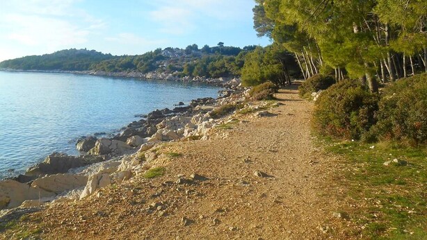 Beach nearby - Apartment Marina, (15621), Tribunj, hr (Tribunj)