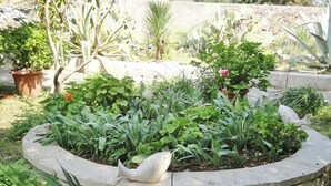 Property grounds - Apartments Lino, (14534), Sumartin, hr (Sumartin)