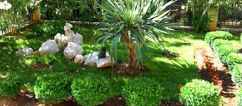 LĂ€genheter och rum Jennifer, (9464), Orebic, Peljesac Peninsula, Kroatien