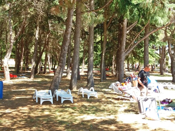 Jardines del alojamiento