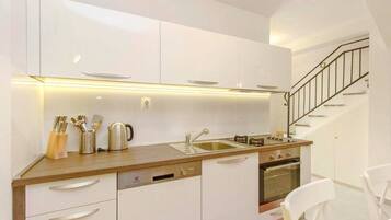 Fridge, oven, dishwasher, cookware/dishes/utensils