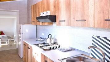 Kühlschrank, Herdplatte, Wasserkocher mit Kaffee-/Teezubehör