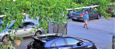 Àrea exterior de l'allotjament