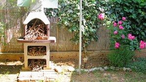 Property grounds - Apartment Nada, (12640), Tribunj, hr (Tribunj)