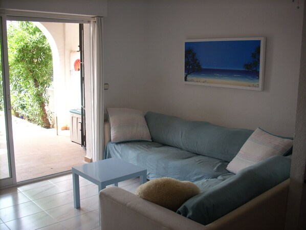 TV, fireplace, books