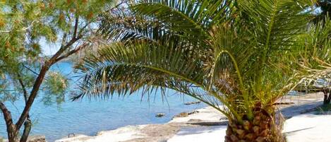 Overnattingsstedets uteområder