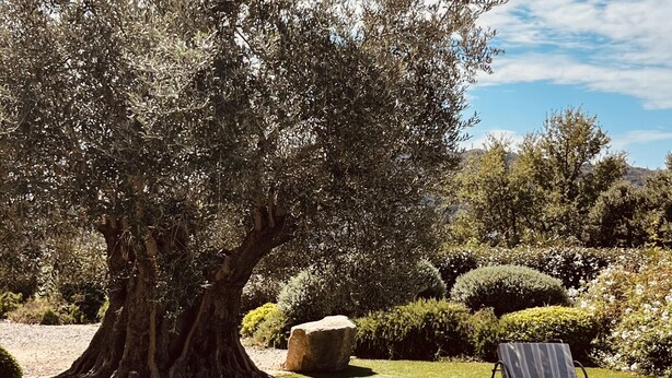 A heated pool - This place is magic in the wonderful village of La Garde Freinet. (La Garde-Freinet)