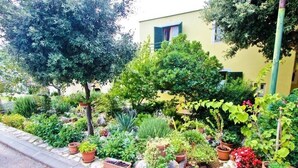 Property grounds - Apartments Irena, (14991), Petrcane, hr (Petrcane)