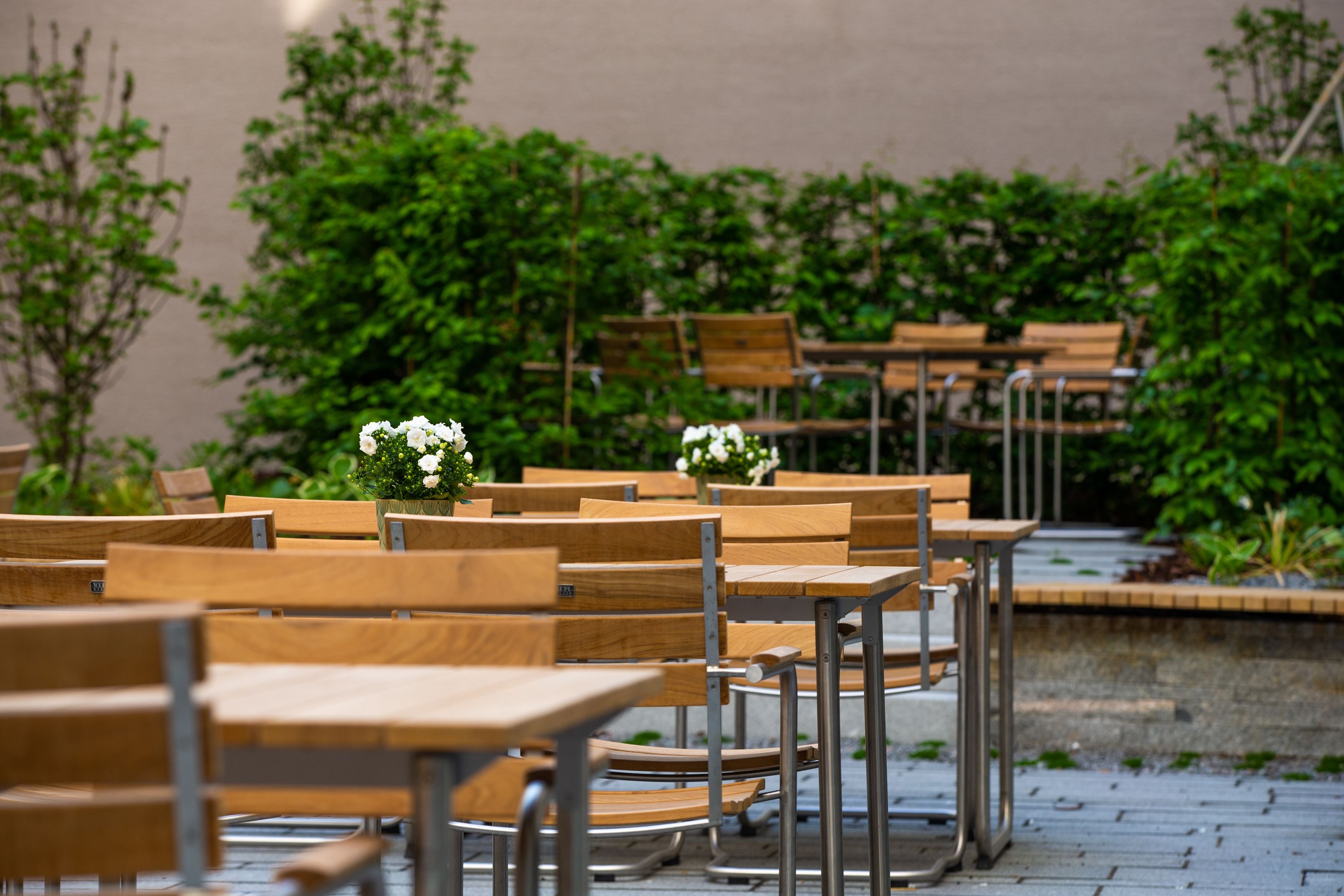 A row of wooden tables and chairs arranged outdoors, with greenery in the background.