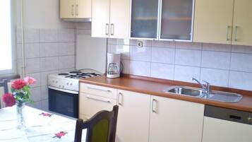 Fridge, oven, dishwasher, cookware/dishes/utensils