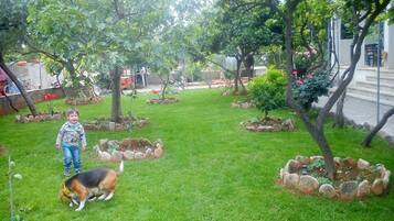 Áreas de la propiedad