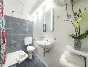 Shower, hair dryer