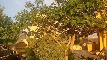 Overnatningsstedets område