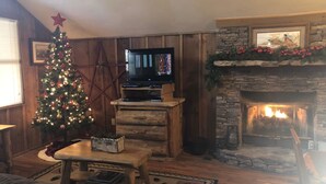 Cabin, 1 King Bed (Cades Cove Hide Away) | Living area | Flat-screen TV, DVD player - Cades Cove Hide Away (Townsend)
