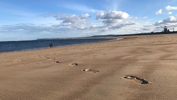 A sandy beach with footprints leading to the water, a dog, and a distant industrial structure.