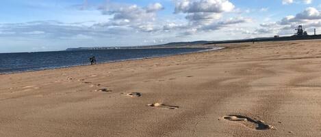 Una playa arenosa con huellas que conducen al agua, un perro y una estructura industrial a lo lejos.