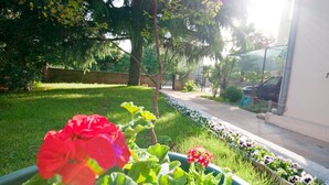 Property grounds - Holiday home Elena, (12228), Rovinj, hr (Rovinj)