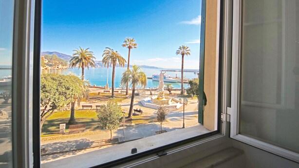 Vista desde una ventana sobre un parque con palmeras, bancos y una estatua.