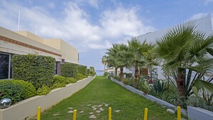 Un sendero bordeado de follaje y palmeras, que conduce a un edificio de diseño moderno con vista al mar.