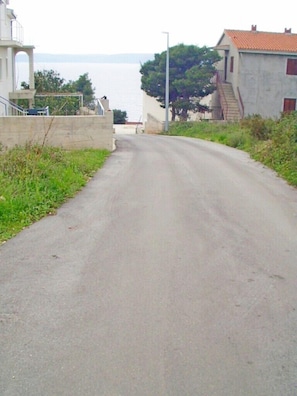 Stroll along a serene, tree-lined road to a tranquil body of water.