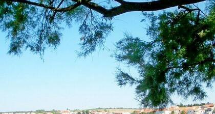 Apartments Vesela, (3004), Petrcane, hr