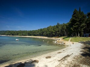 Playa en los alrededores 