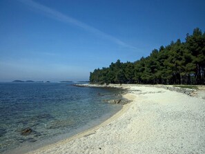 Playa en los alrededores 