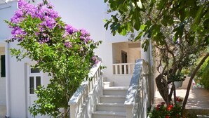 Property grounds - Apartments Suzana, (14190), Ždrelac, hr (����drelac)
