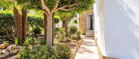 A stone pathway leading to a building with a white exterior, surrounded by various plants and trees.