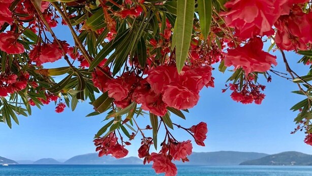 A coastal view with clear blue water and distant mountains. - KALLISTI beachfront/lavish decoration/15 steps to water/superb sea view/115m2 (Kefalonia)