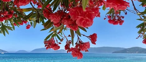 På stranden, solsenger og strandhåndklær