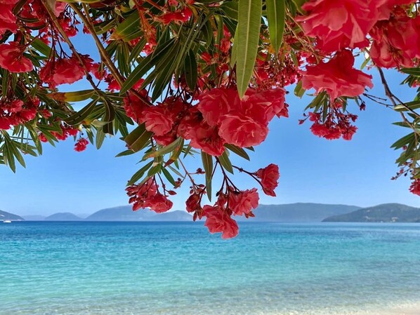 Plage, chaises longues, serviettes de plage