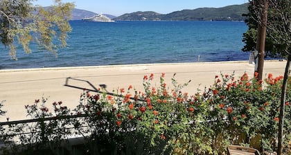 KALLISTI beachfront/lavish decoration/15 steps to water/superb sea view/115m2