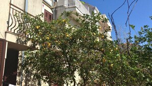 Property grounds - Apartments Ivanka, (14888), Dubrovnik, hr (Dubrovnik)