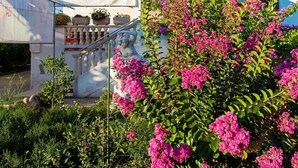 Property grounds - Apartments Florijana, (15415), Sukošan, hr (Sukošan)