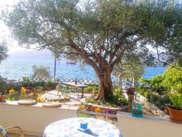 Restauration en plein air