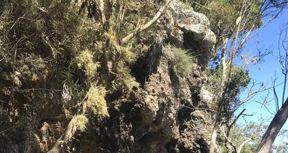 Casas del Monte II on talo, joka sijaitsee luonnon keskellä