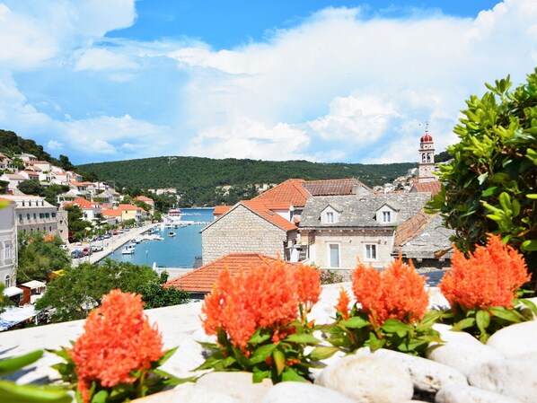 Terrain de l’hébergement 