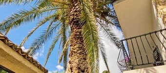 Apartments Danica, (12802), Ždrelac, hr